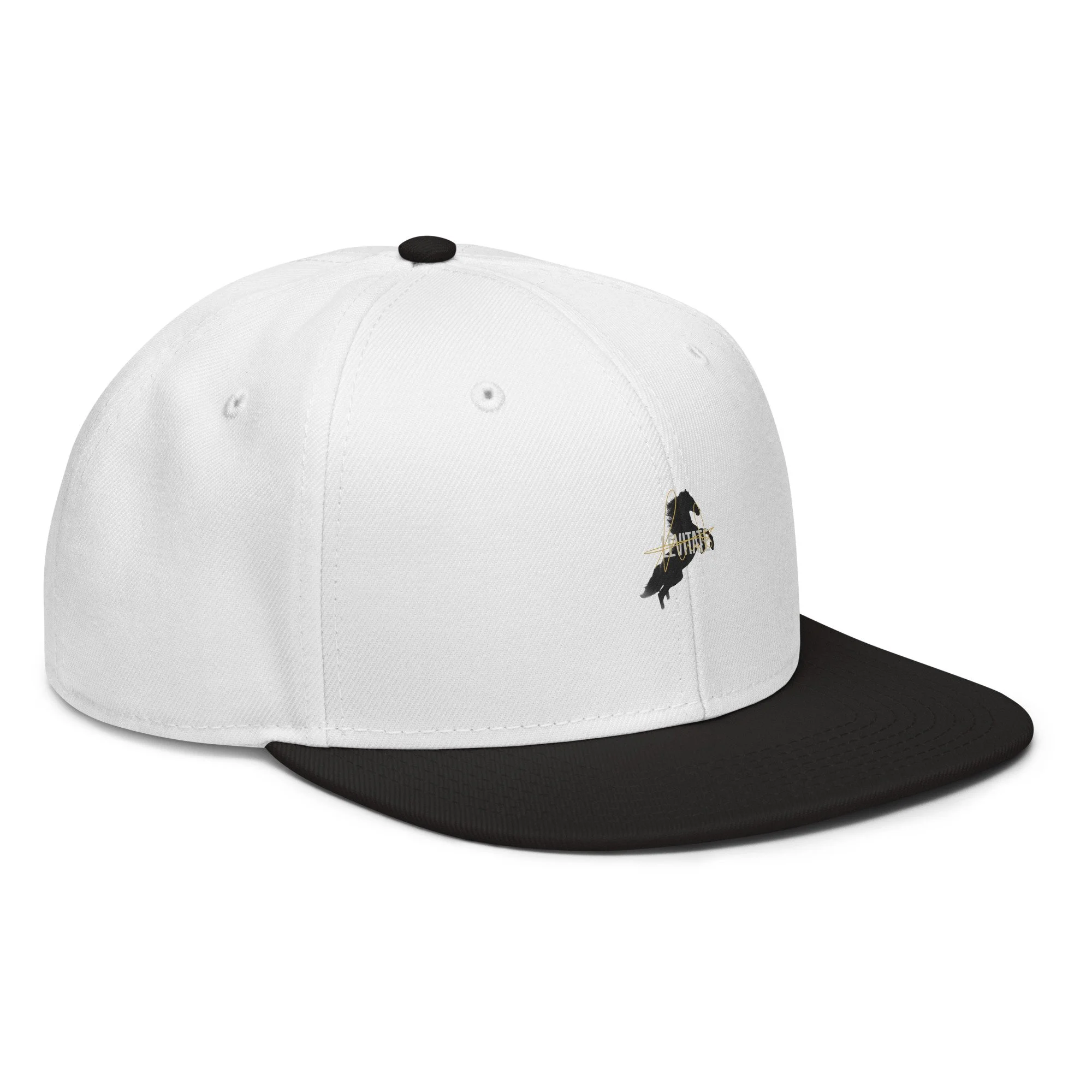 snapback-black-white-white-right-front-6a438b7752c95.jpg