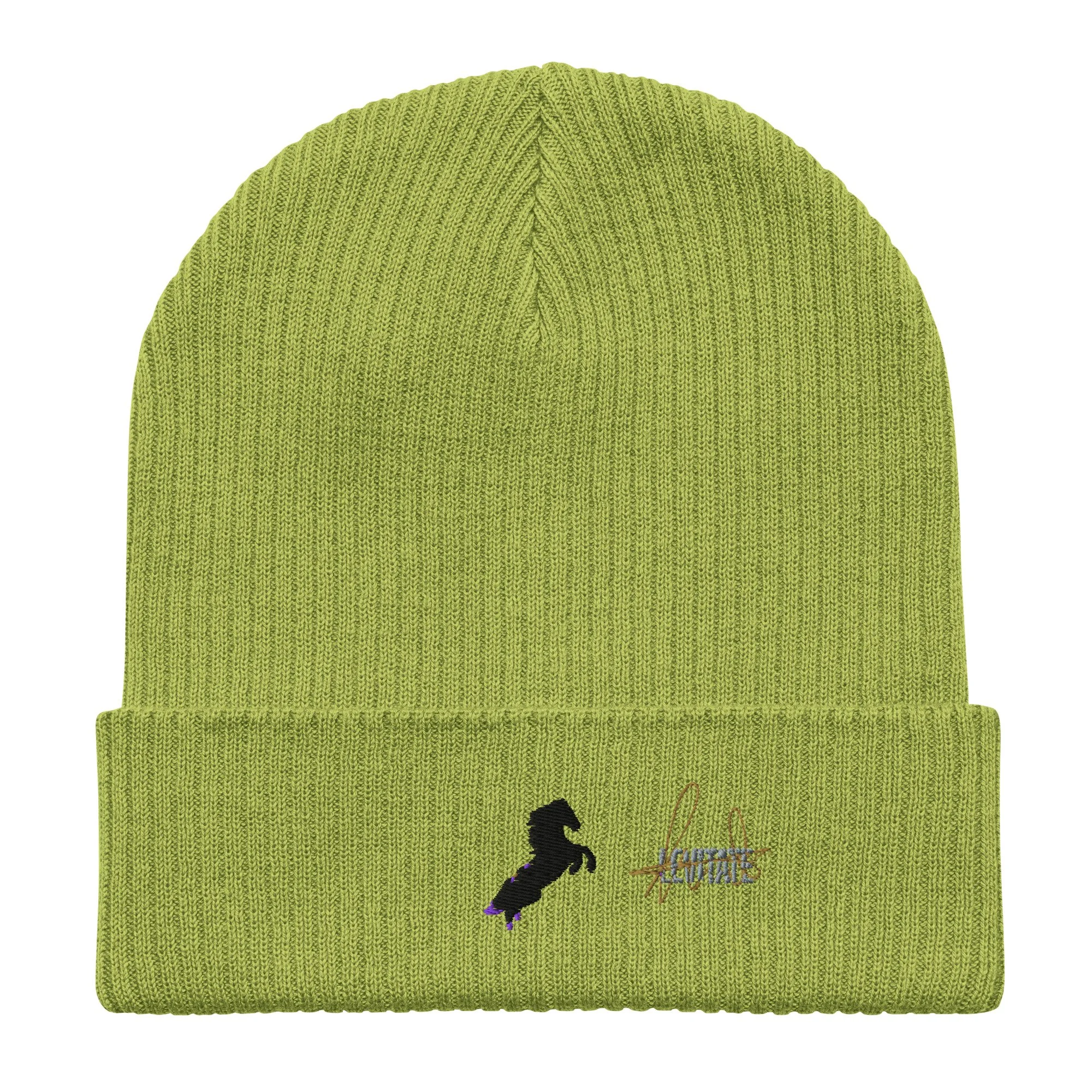 organic-ribbed-beanie-leaf-green-front-6a44b63fbaf2a.jpg
