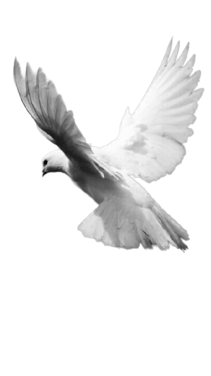 MESSIAH