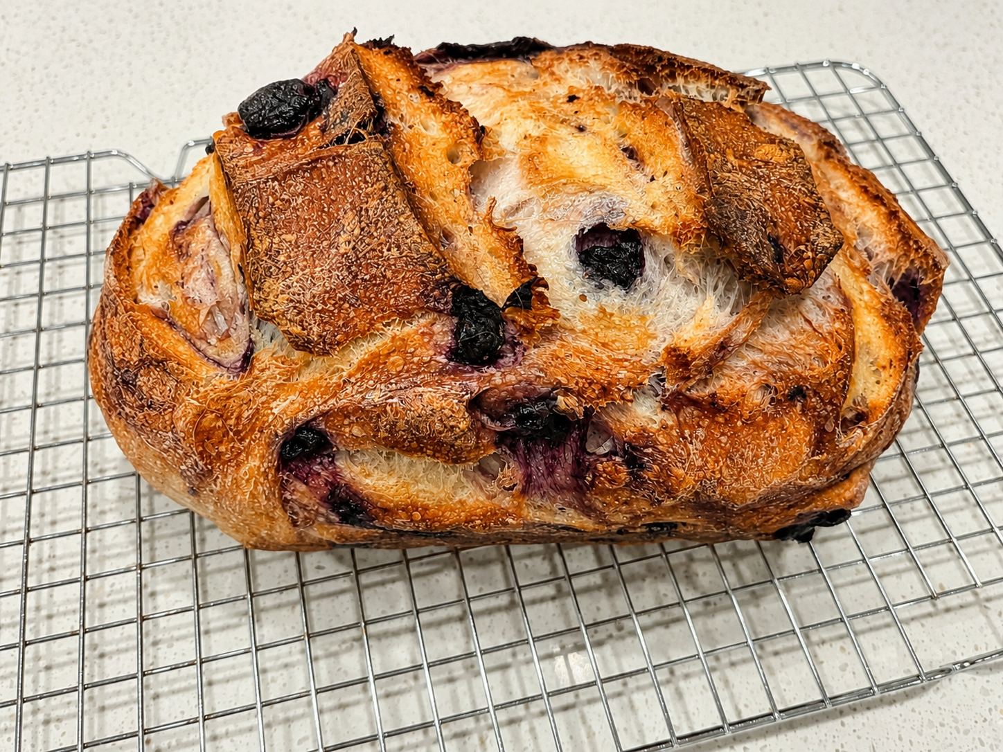 Sourdough Blueberry Lemon Loaf