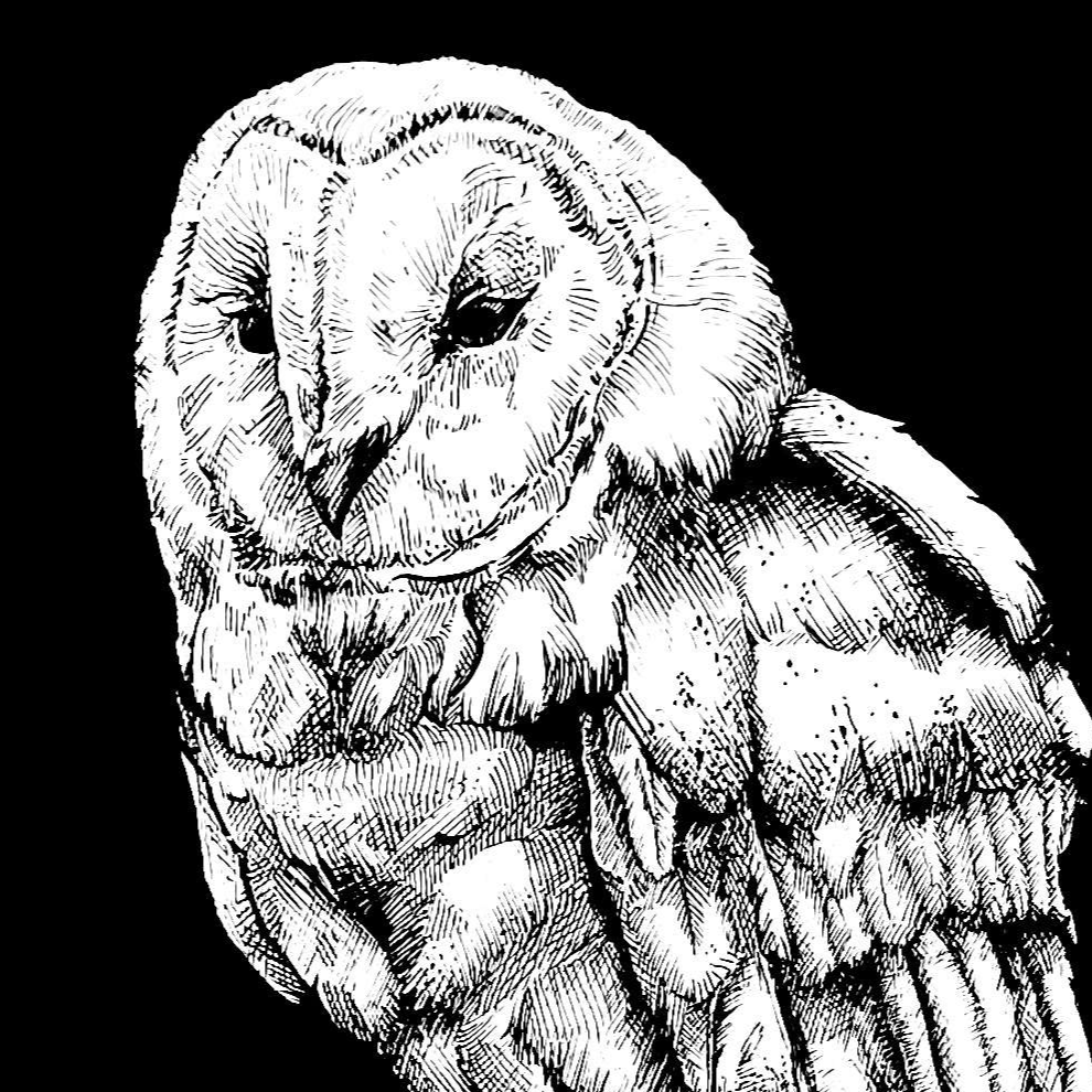 Animal work