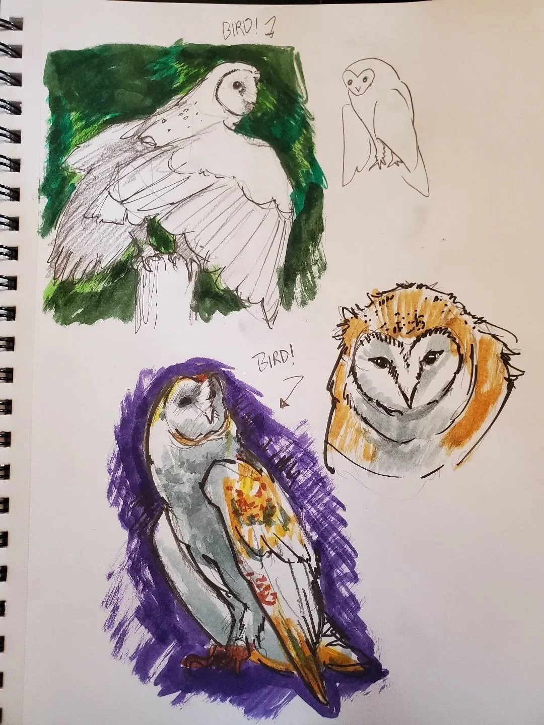 My practice for my next work. Got really inspired by the inkwork by the artists at my most recent show. The theme is of the next show is white. There's some photos of a leucistic barn owl named casper floating around 👀 Very excited 😁