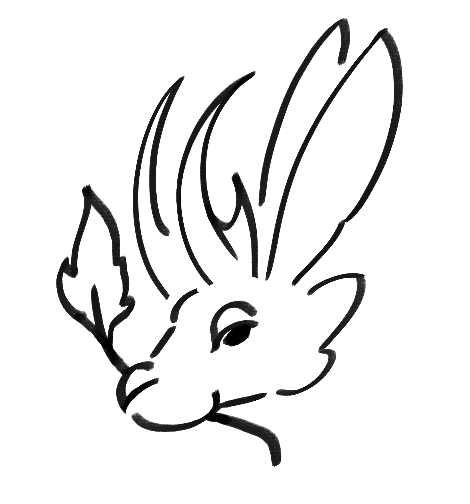 JACKALOPE'S PAINTBRUSH