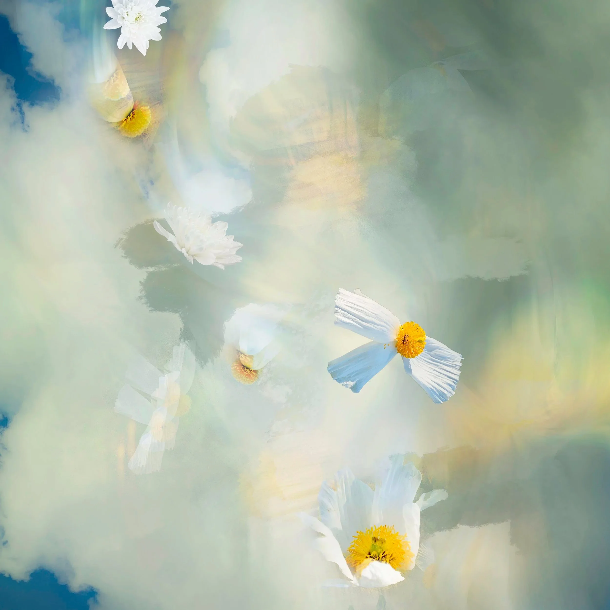 fine-art-botanical-floral-photographic-composition-03+copy.jpg