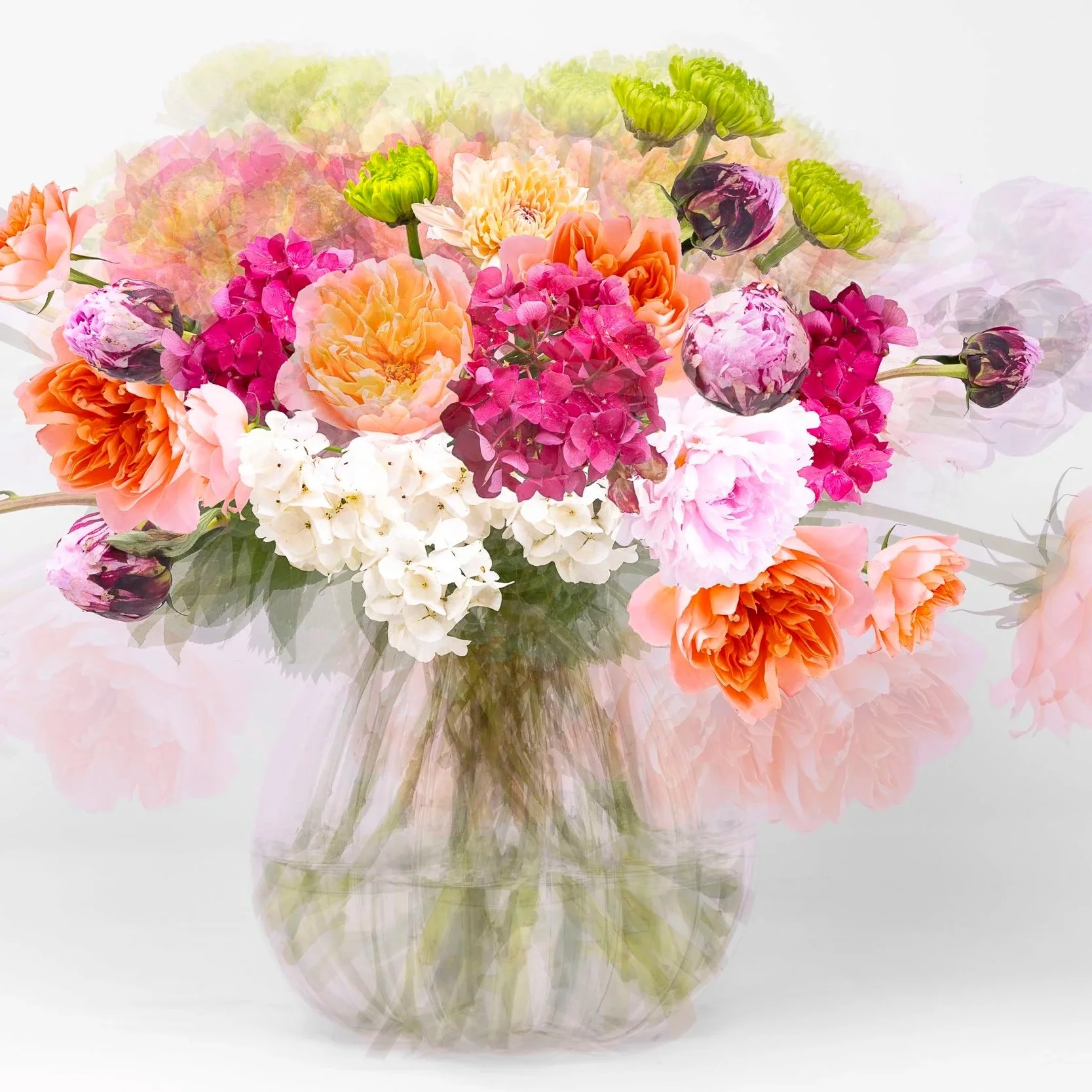 Composite color image of clear vase and flowers