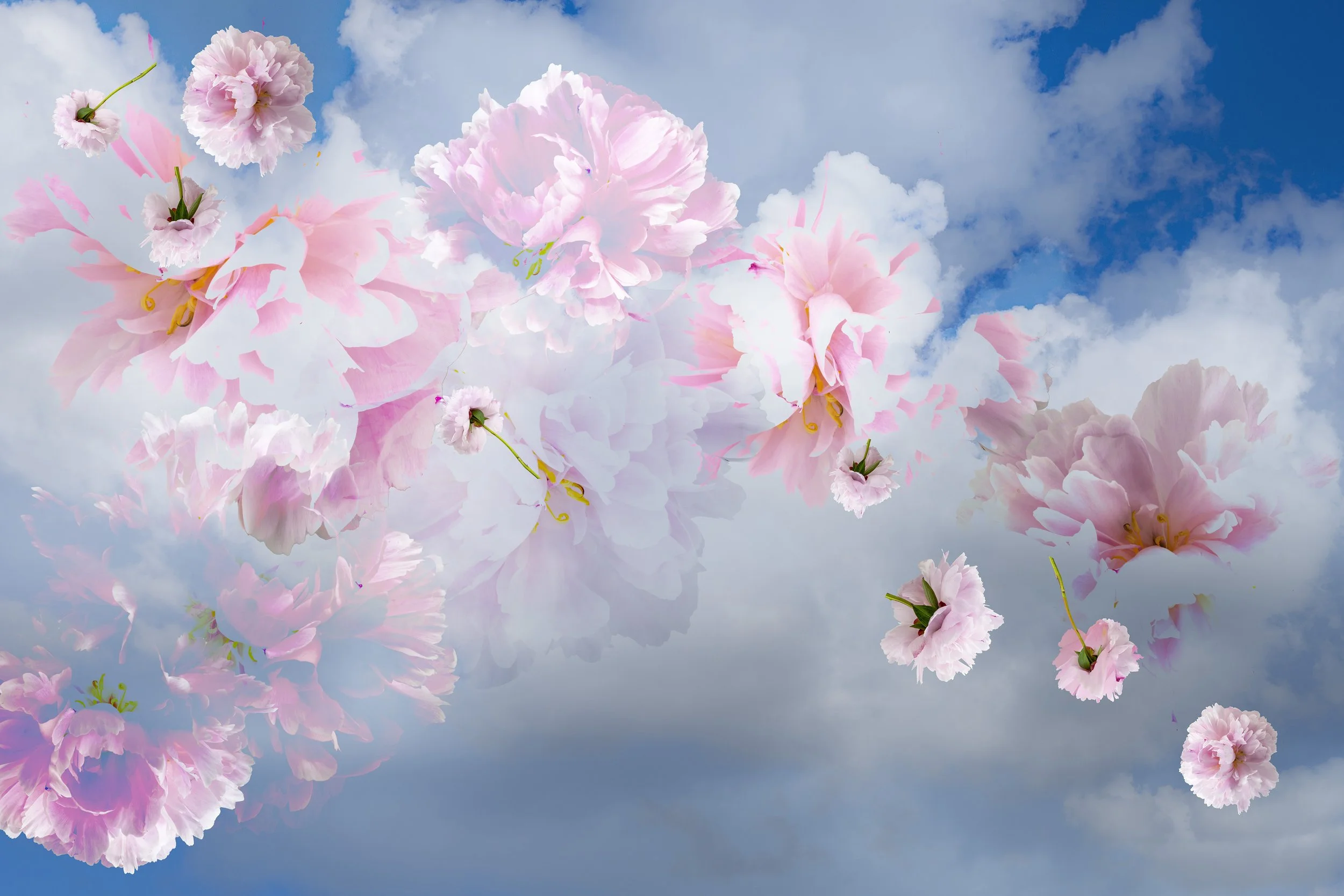 Complex photographic composite image created out of multiple different flowers layered onto a background 