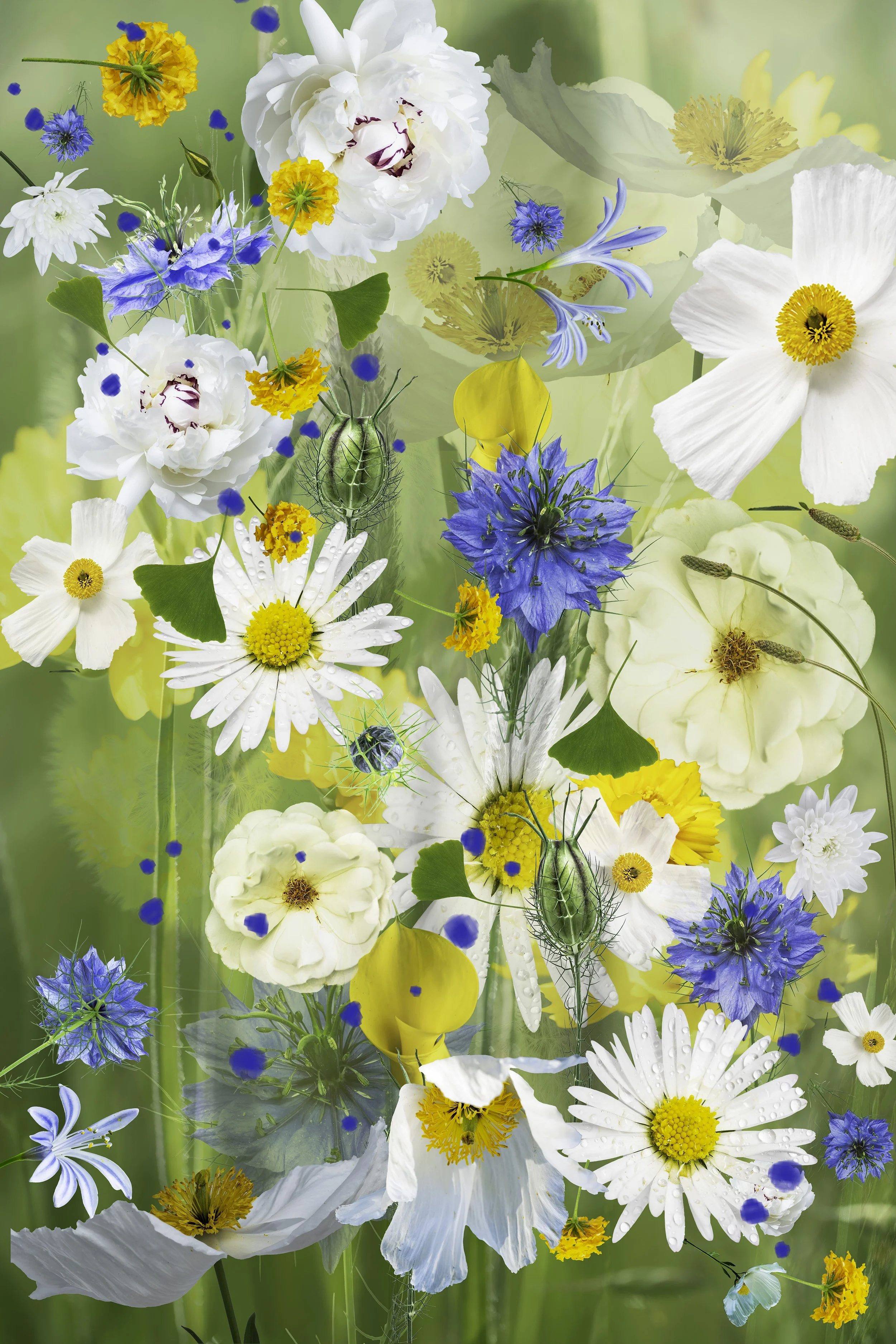 Complex photographic composite image created out of multiple different flowers layered onto a background 