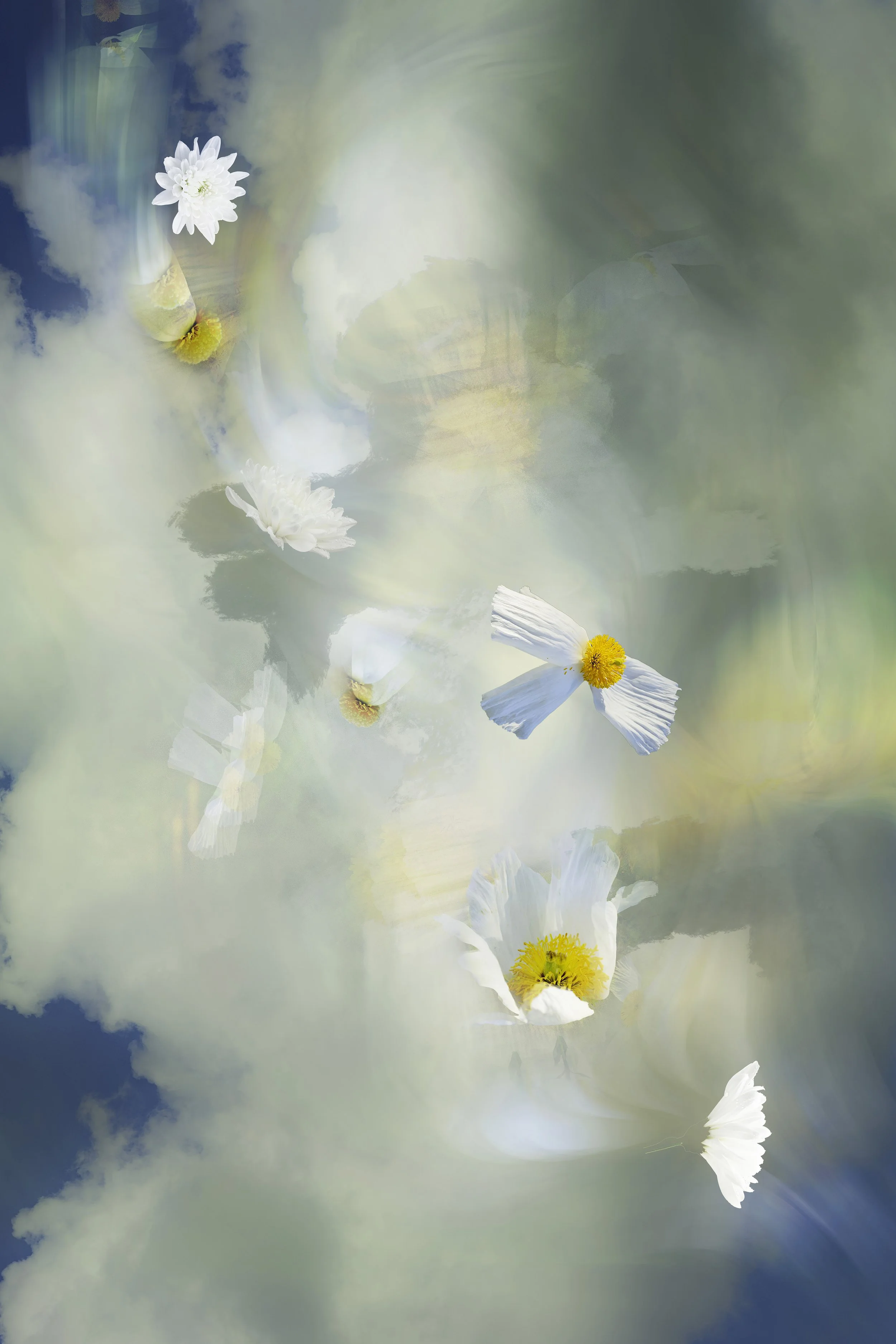 Complex photographic composite image created out of multiple different flowers layered onto a background 