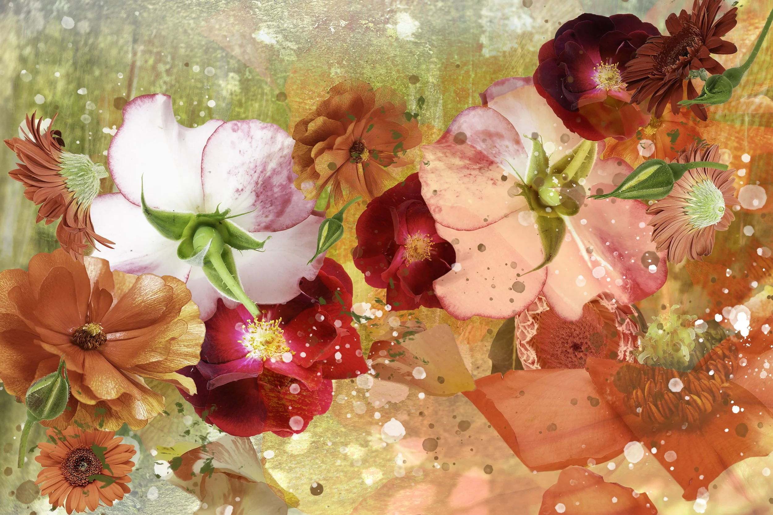 Complex photographic composite image created out of multiple different flowers layered onto a background 