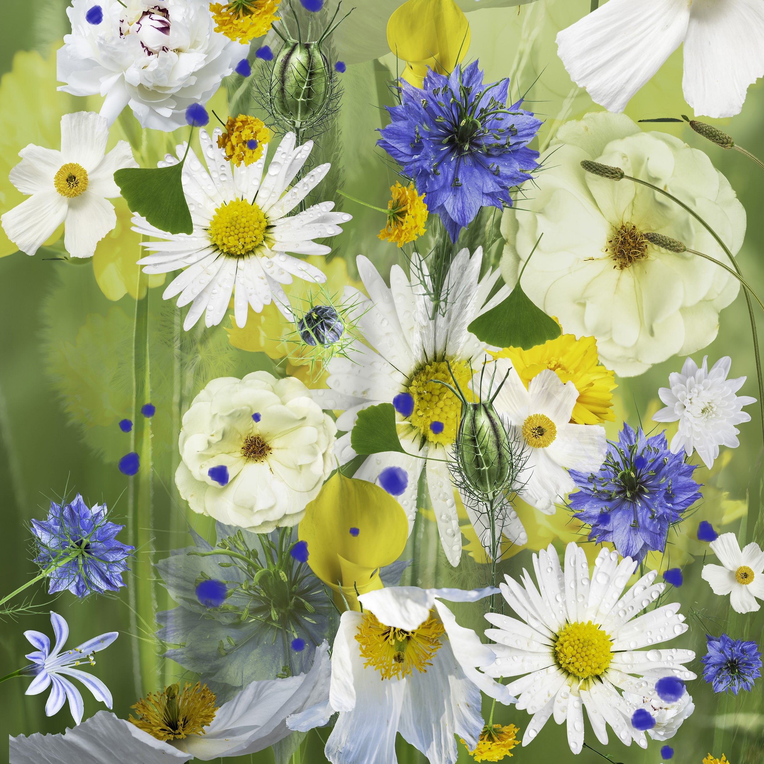 fine-art-botanical-floral-photographic-composition-07 copy.jpg