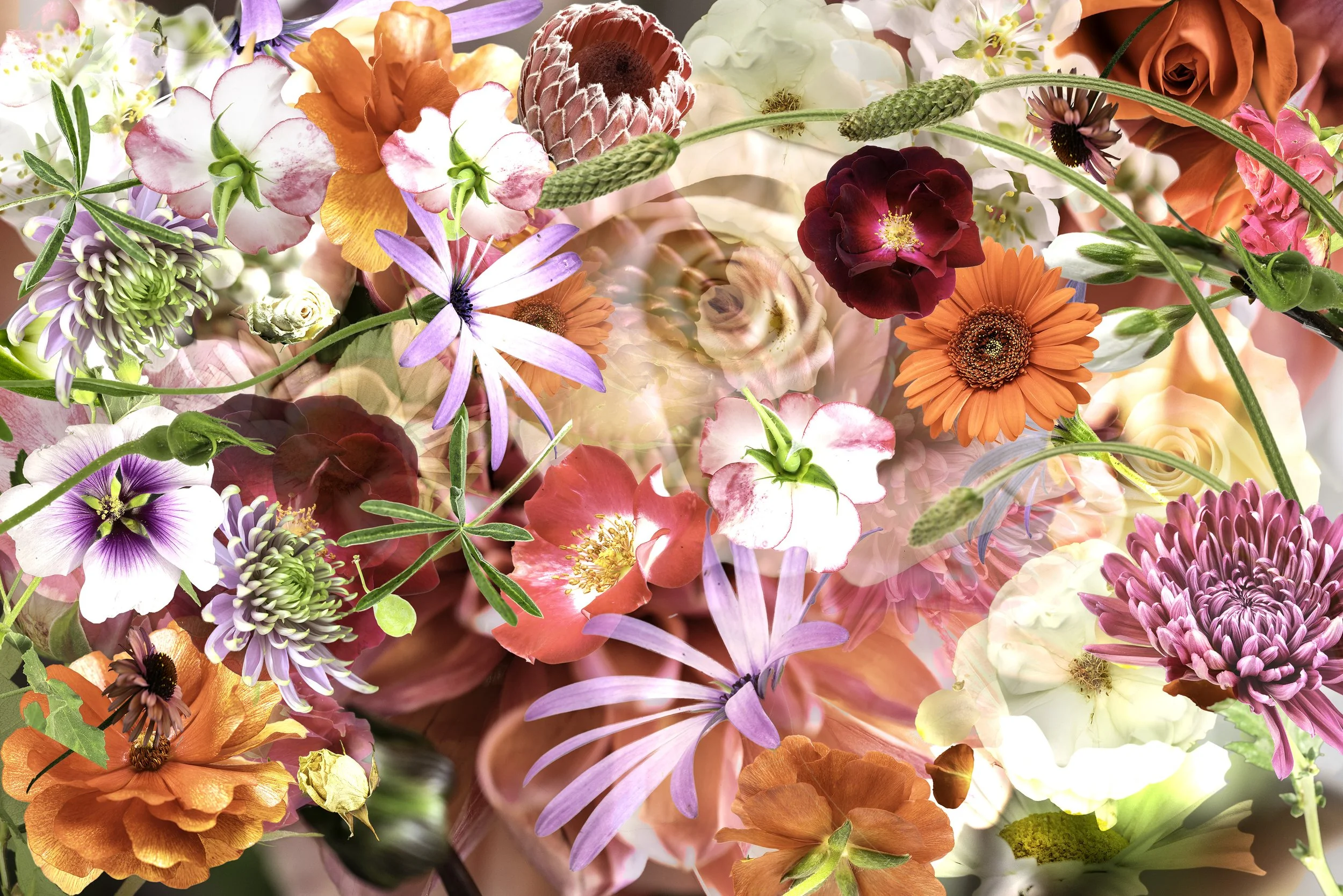 Complex photographic composite image created out of multiple different flowers layered onto a background 