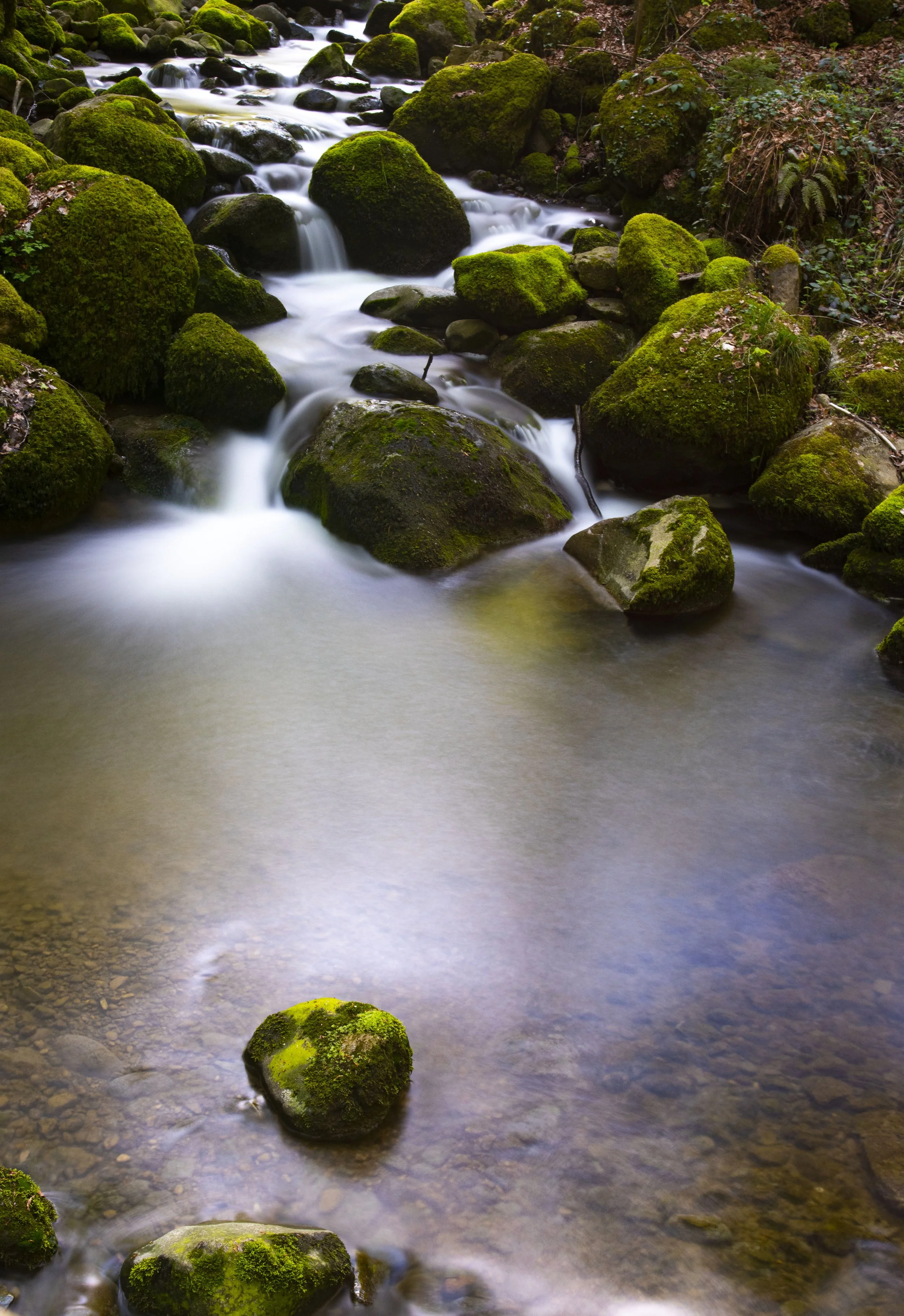 Stream with moss covered rocks and blurred moving water