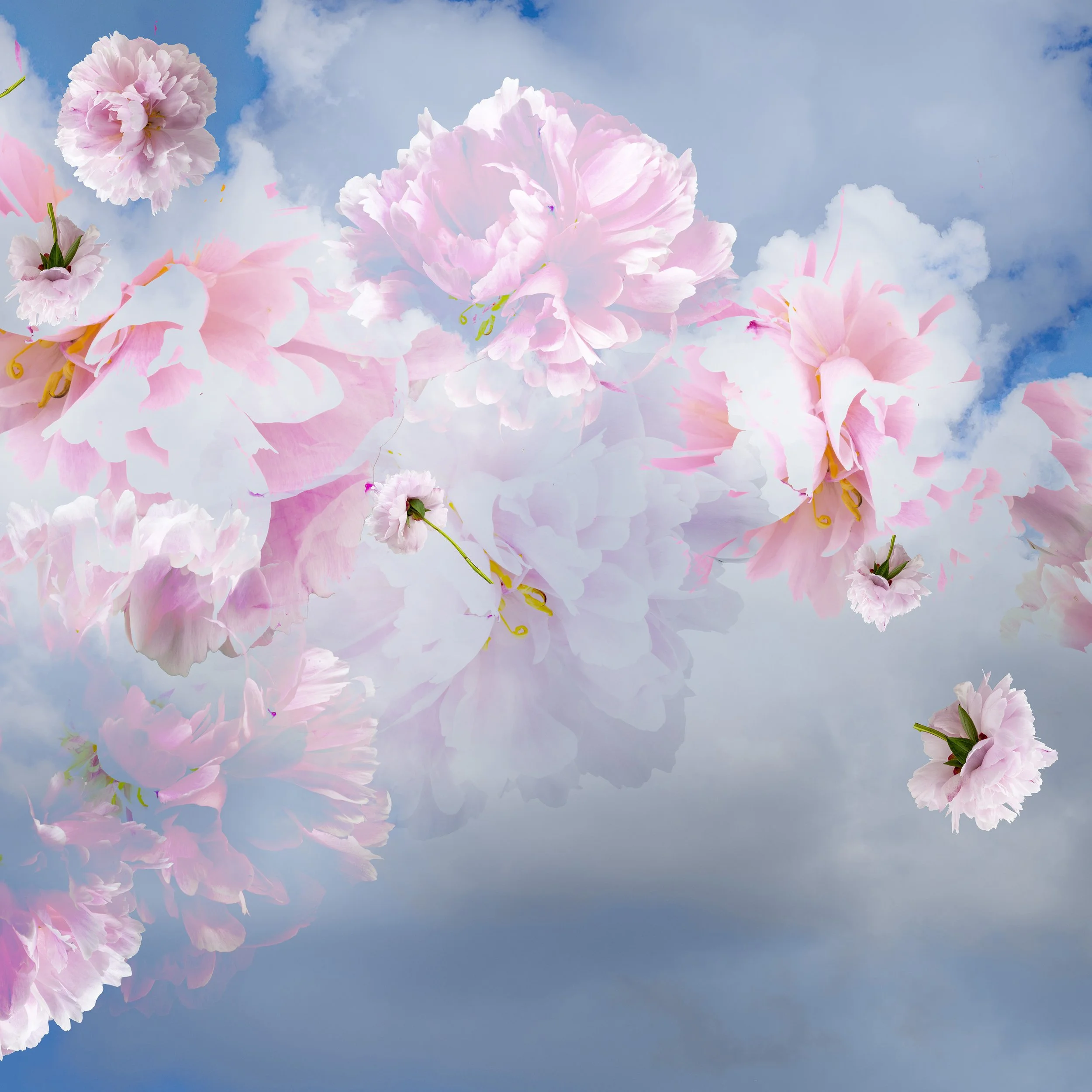 fine-art-botanical-floral-photographic-composition-04 copy.jpg