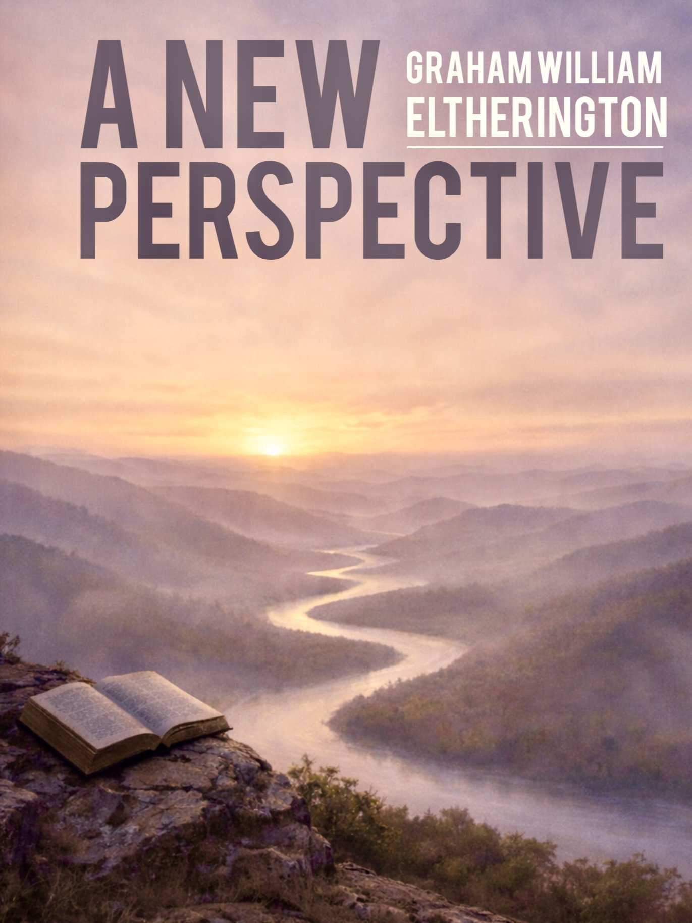 A New Perspective /  The book.
