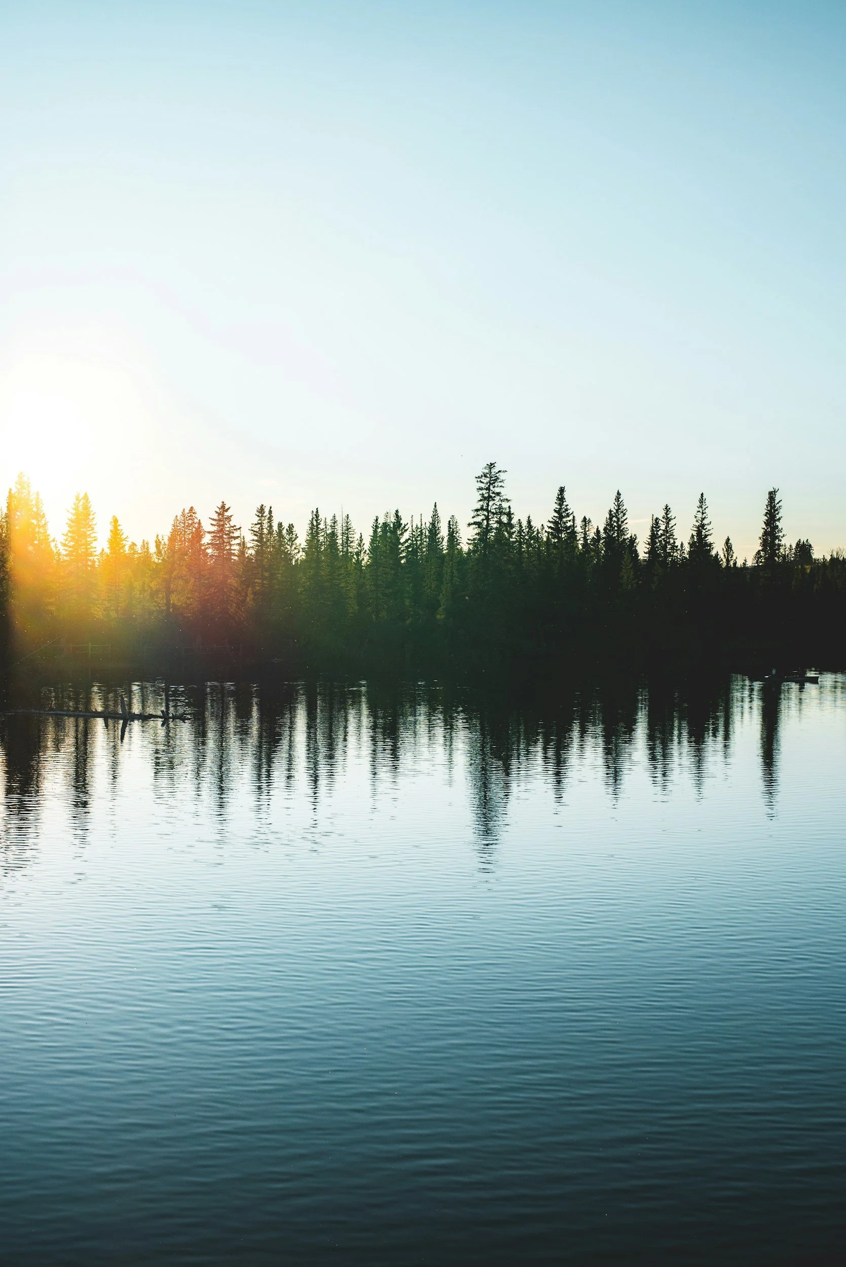 A serene lake reflecting a line of tall evergreen trees under a clear blue sky, with the sun setting or rising on the left side.