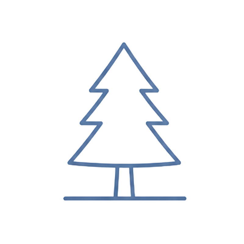 pine tree, EMDR in-person therapy in Eau claire, WI
