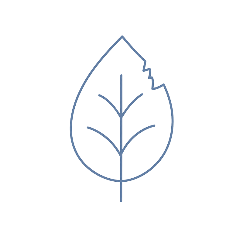 torn leaf, EMDR for Trauma and PTSD