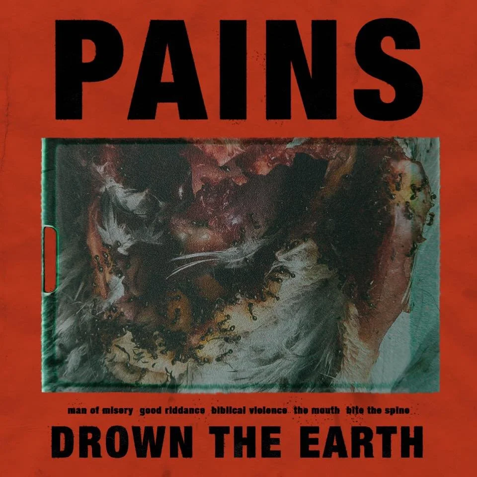 REVIEW: Pains - Drown the Earth [EP/2016]