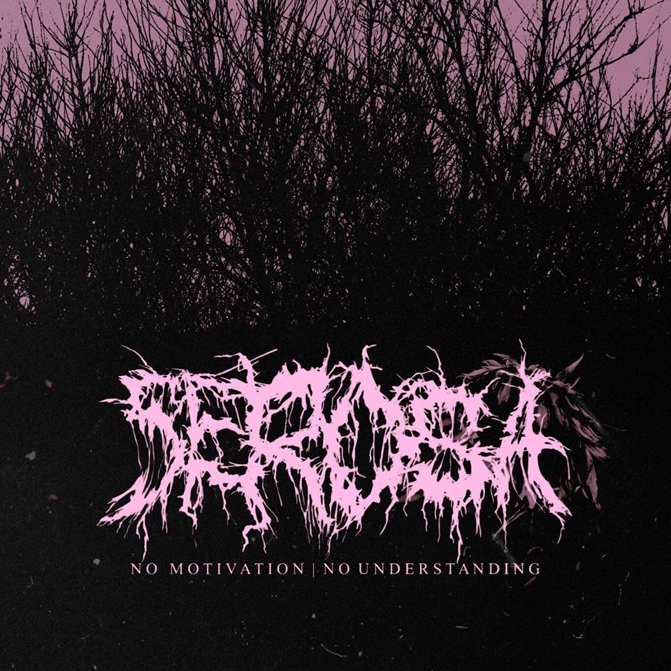 REVIEW: Serosa - No Motivation | No Understanding [EP/2018]