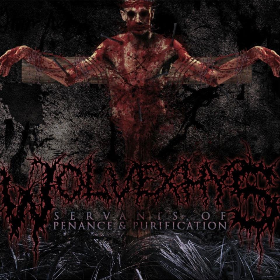 REVIEW: WolveXhys - Concord Dawn (Single/2013)