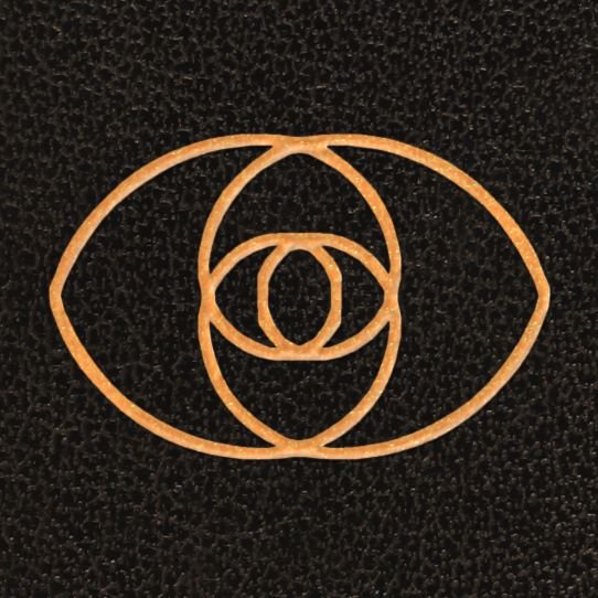 Review: The Distorting Glass - The Germ