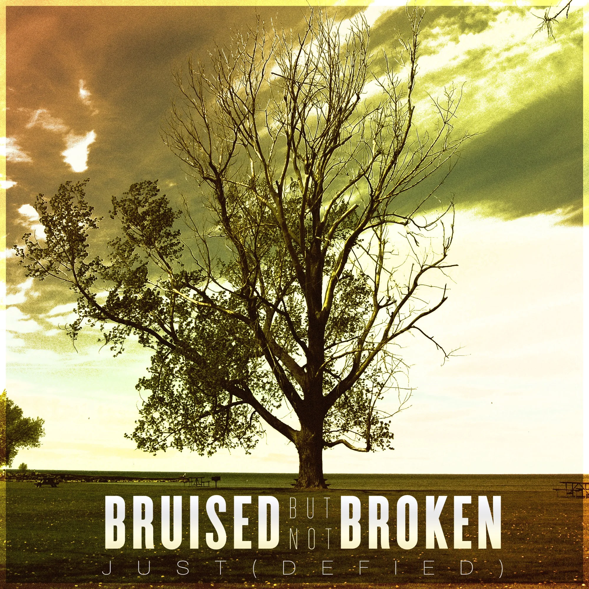 Review: Bruised But Not Broken - Just(Defied)