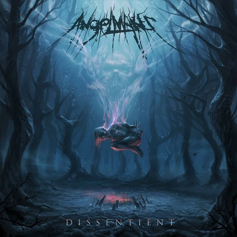 REVIEW: AngelMaker - Dissentient [2015]