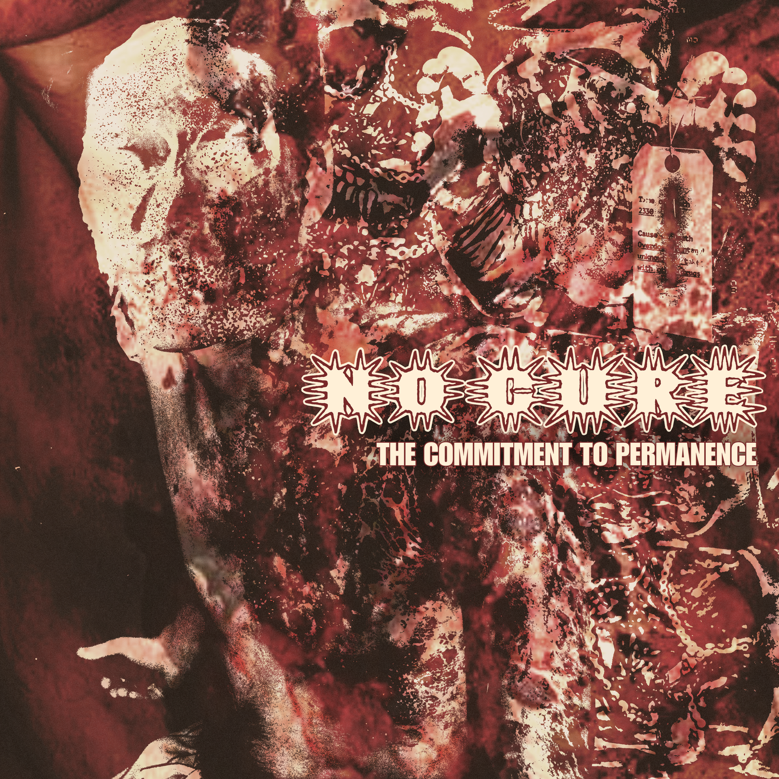 REVIEW: No Cure - The Commitment to Permanence [EP]