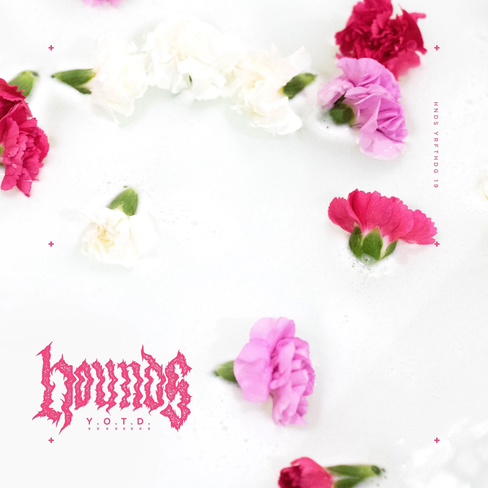 REVIEW: Hounds - Year of the Dog [2019]