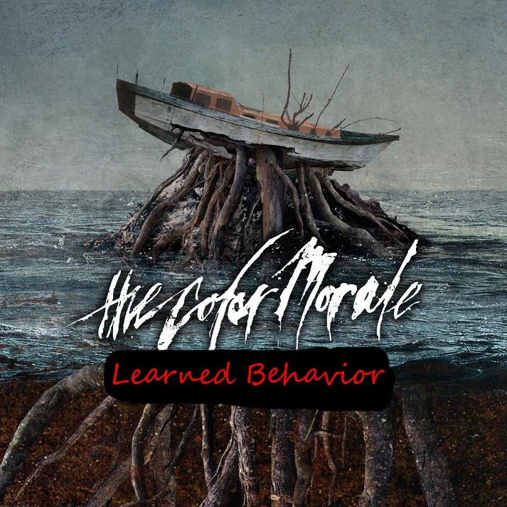 REVIEW:  The Color Morale - "Learned Behavior - Single" (2013)