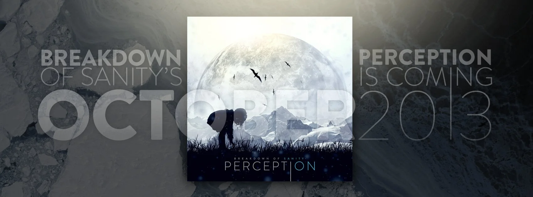 REVIEW: Breakdown of Sanity - Perception [2013]