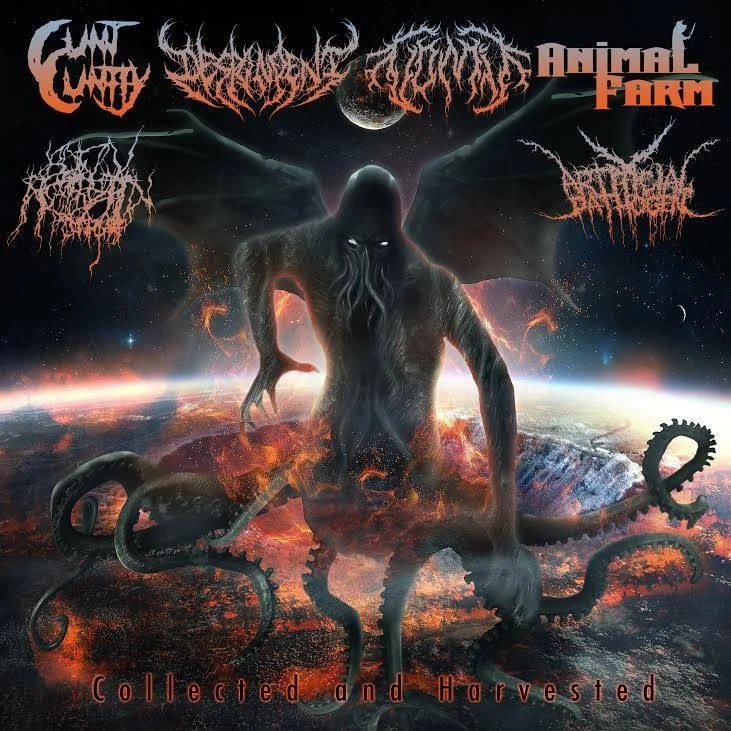 REVIEW: Various Artists - Collected and Harvested Split [2015]