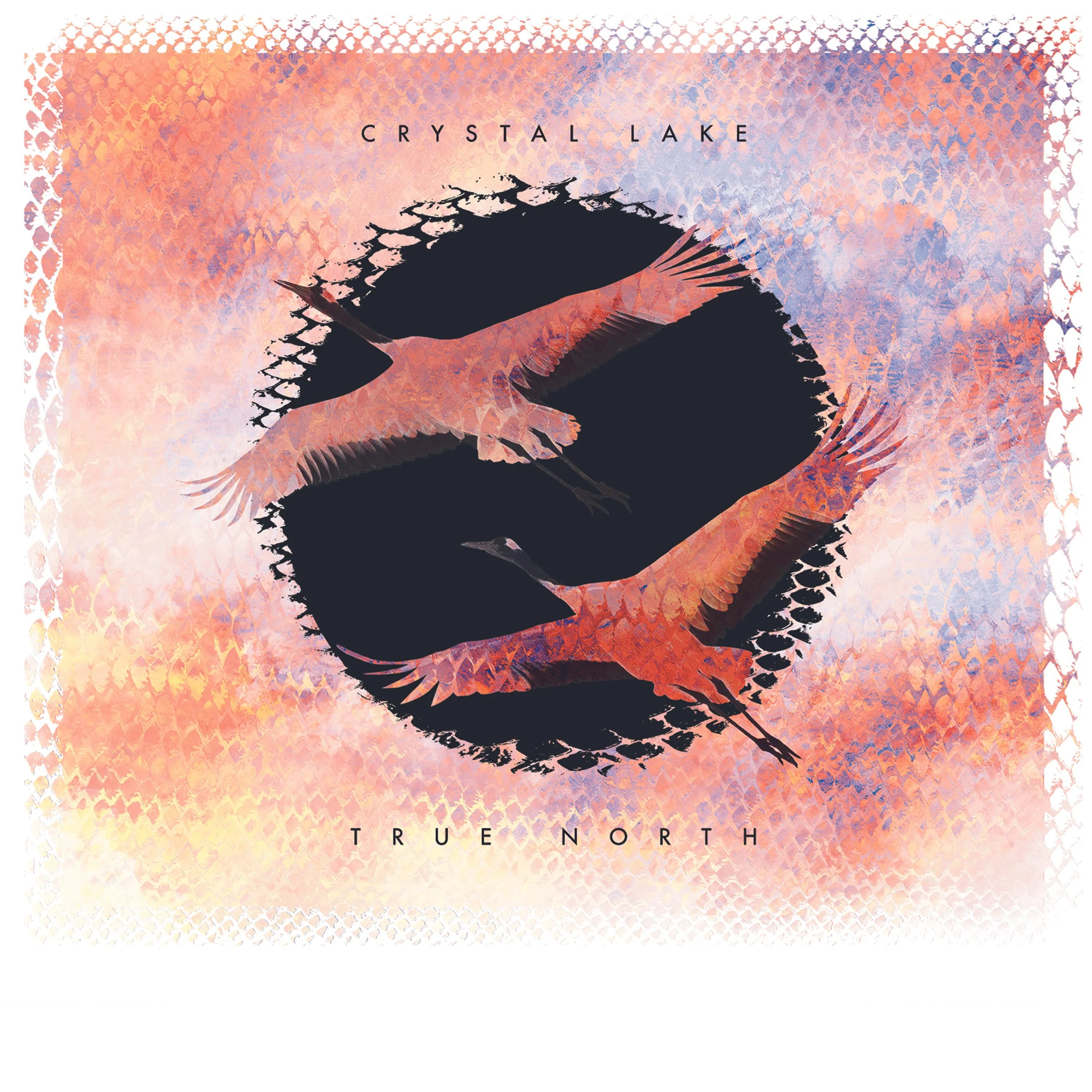 NEWS: Japan's Crystal Lake Find 'True North' on Artery Recordings