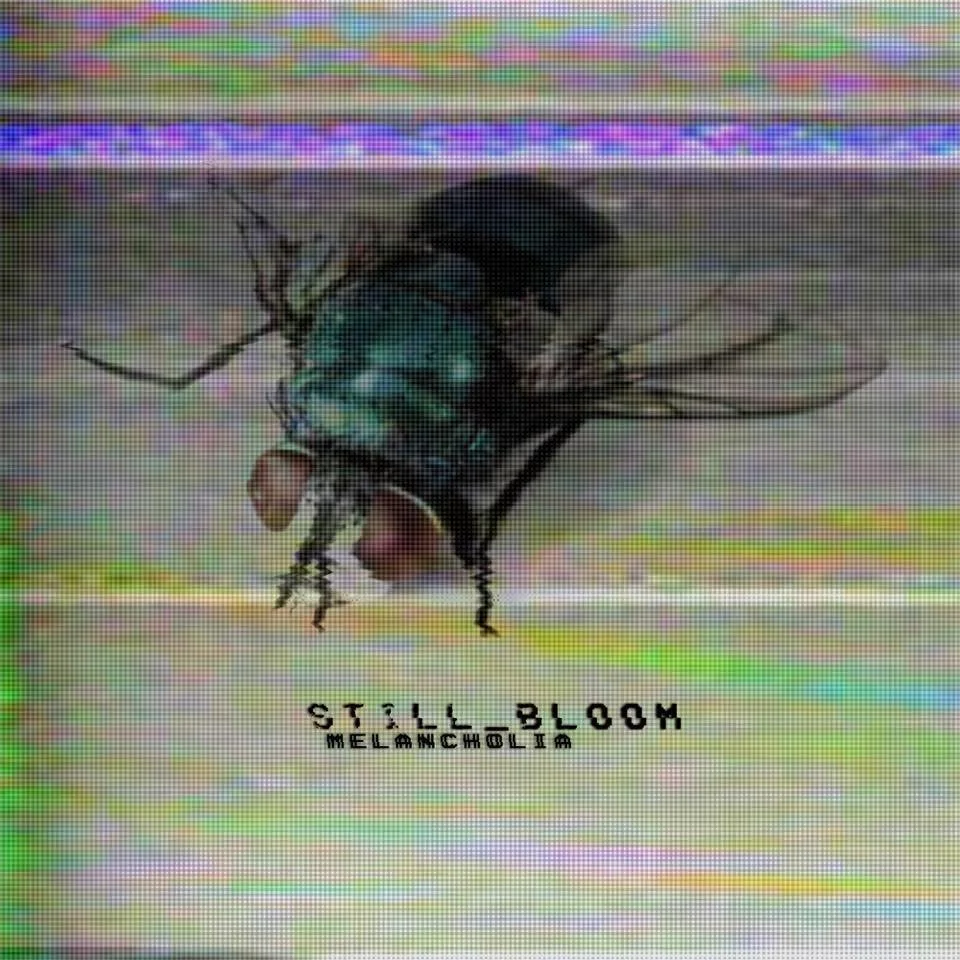 REVIEW: Still_bloom - Melancholia [2019]