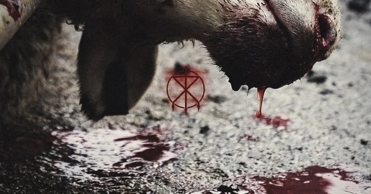 REVIEW: To the Grave - Director's Cuts [2023]