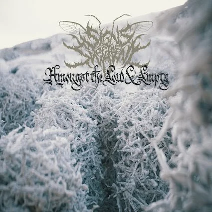 REVIEW: Signs of the Swarm - Amongst the Low and Empty [2023]