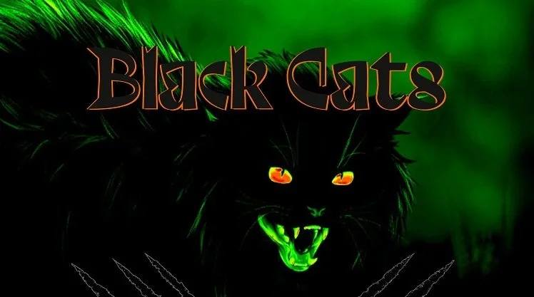 INTREPID BLOOM Reveals Second Single, "Black Cats," Off of Upcoming EP, 'Missing Link'!