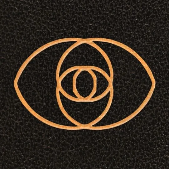 Review: The Distorting Glass - The Germ