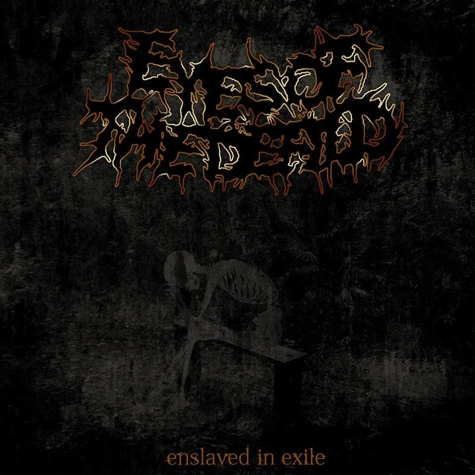 REVIEW: Eyes of the Defiled - Enslaved in Exile [2014]