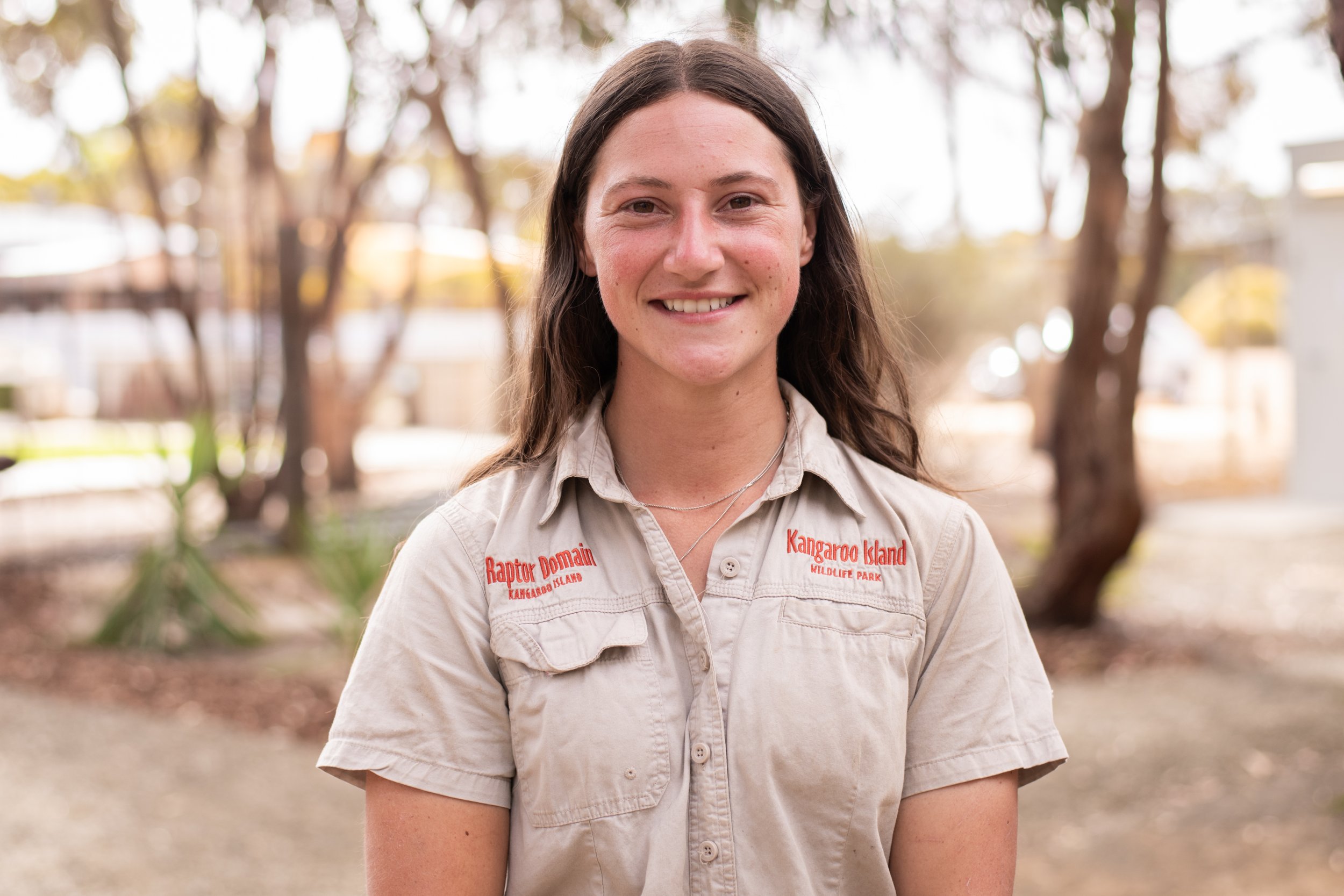 Kangaroo Island tours. Wildlife on Kangaroo Island. Where to see wildlife on kangaroo island. kangaroo island tours