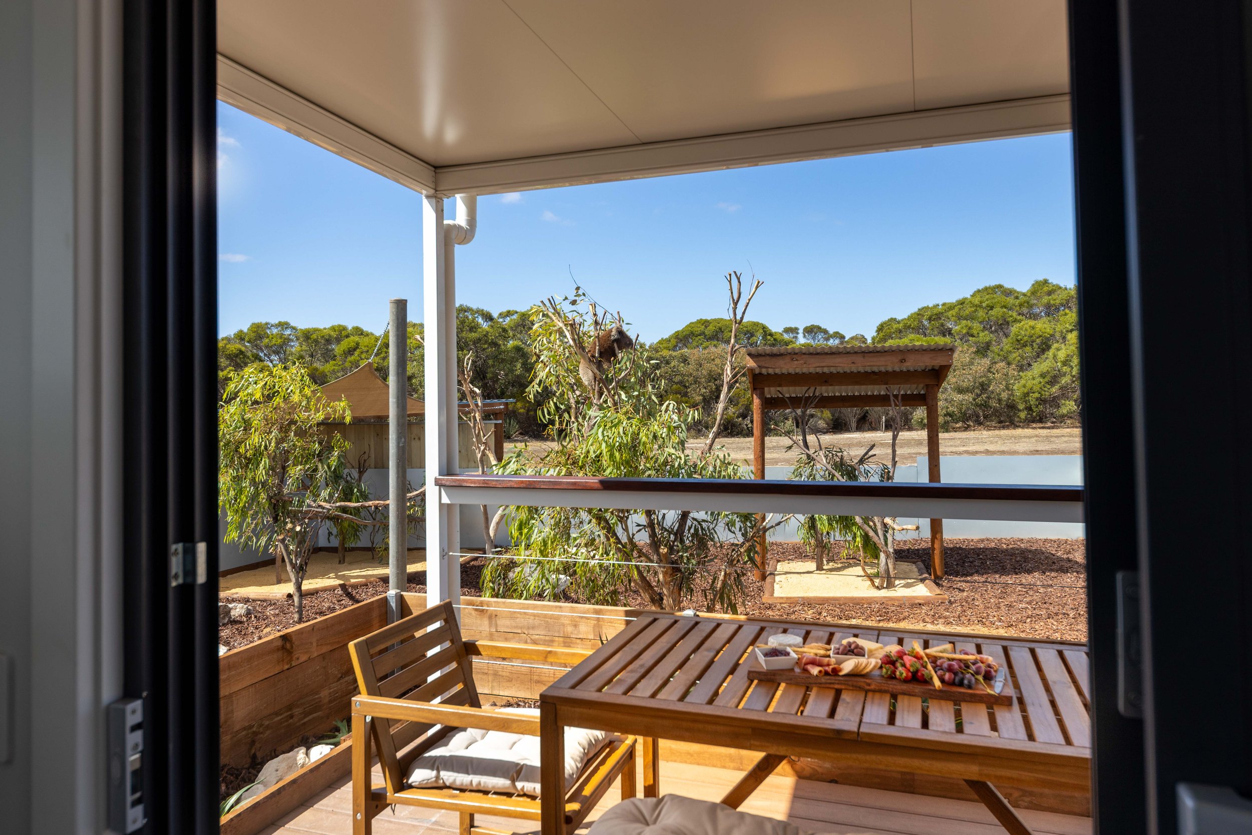 Accommodation on kangaroo island. Cabins on kangaroo Island. where to stay near seal bay. where to stay on kangaroo island. wildlife stay kangaroo island. koalas on kangaroo island.