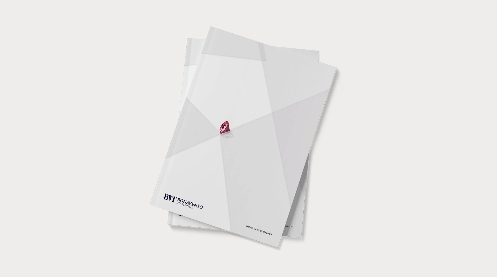 Investor Brochure