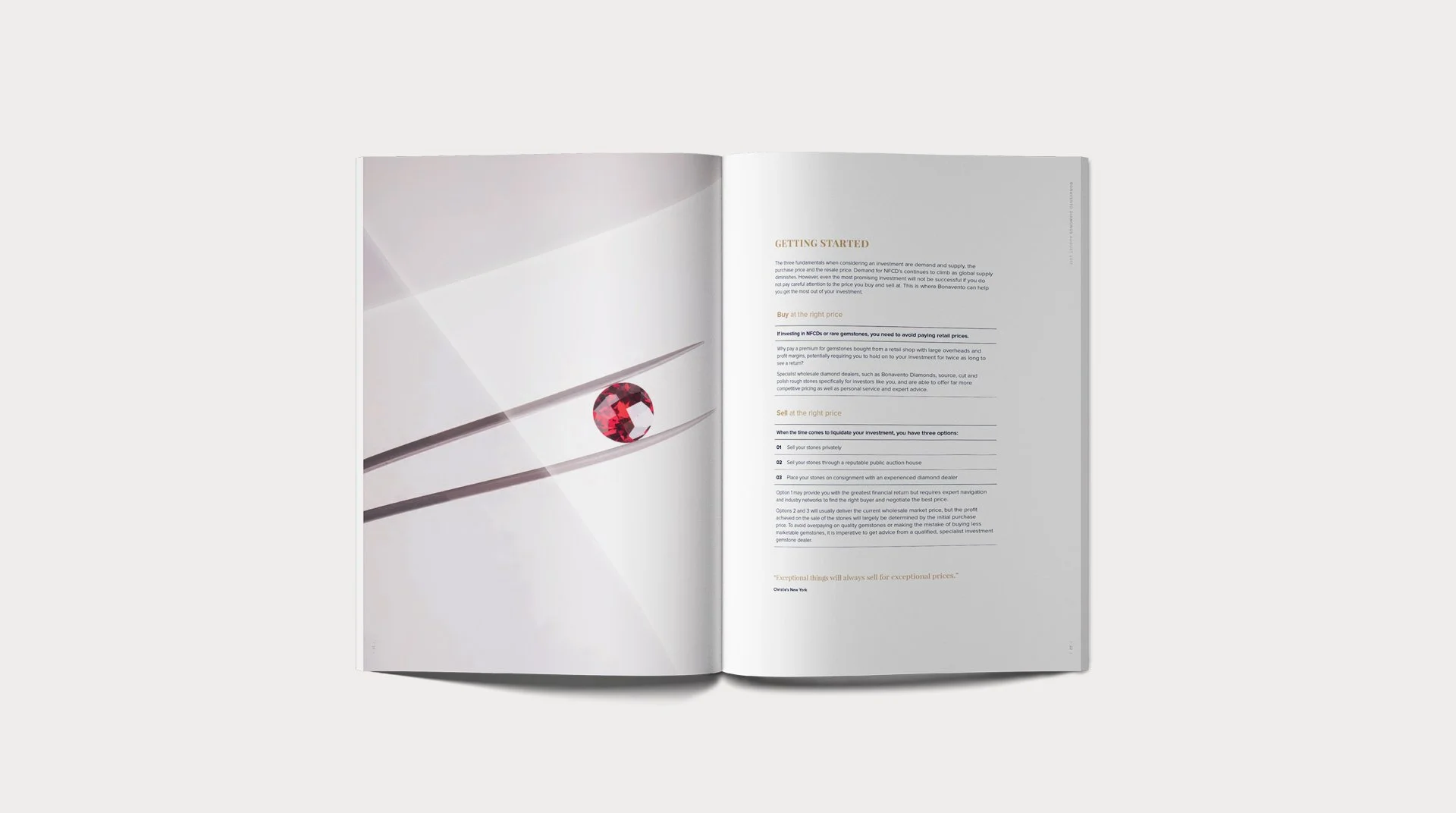 Investor Brochure