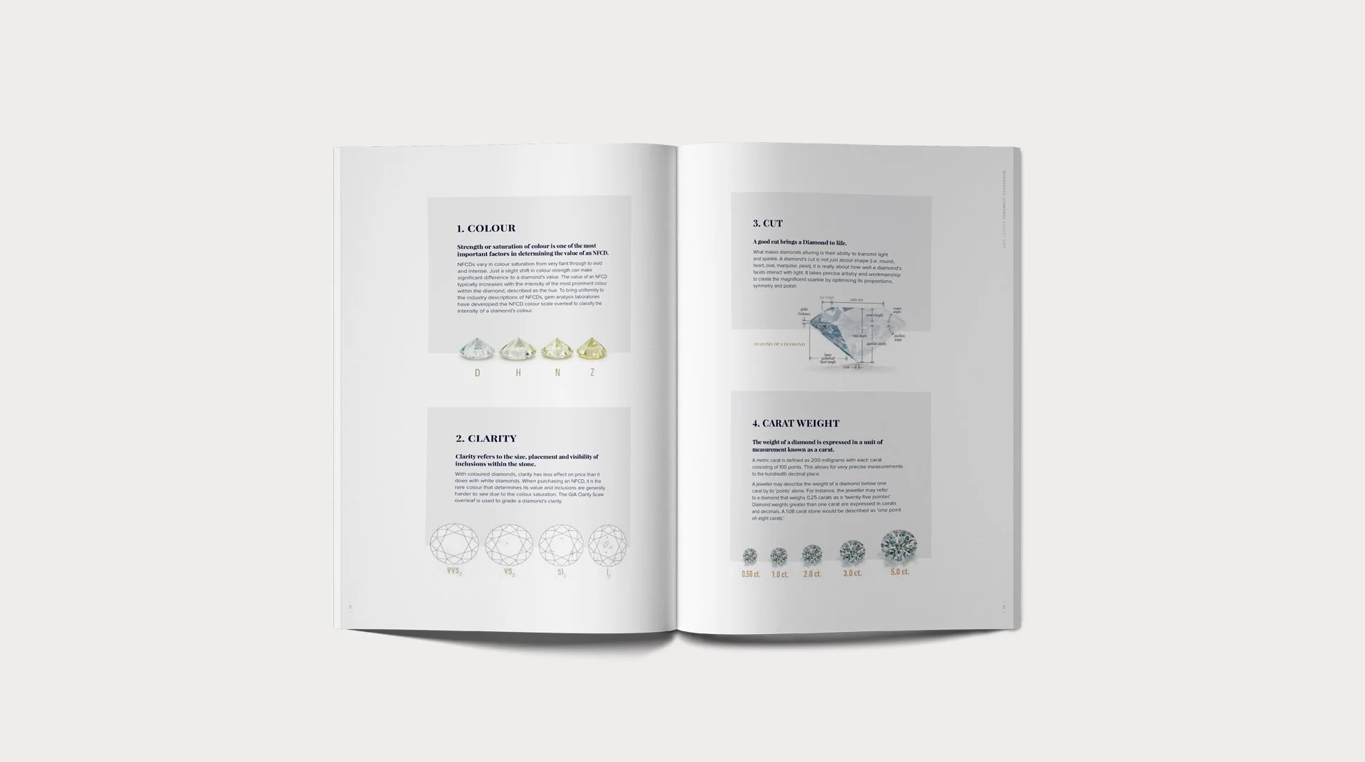 Investor Brochure