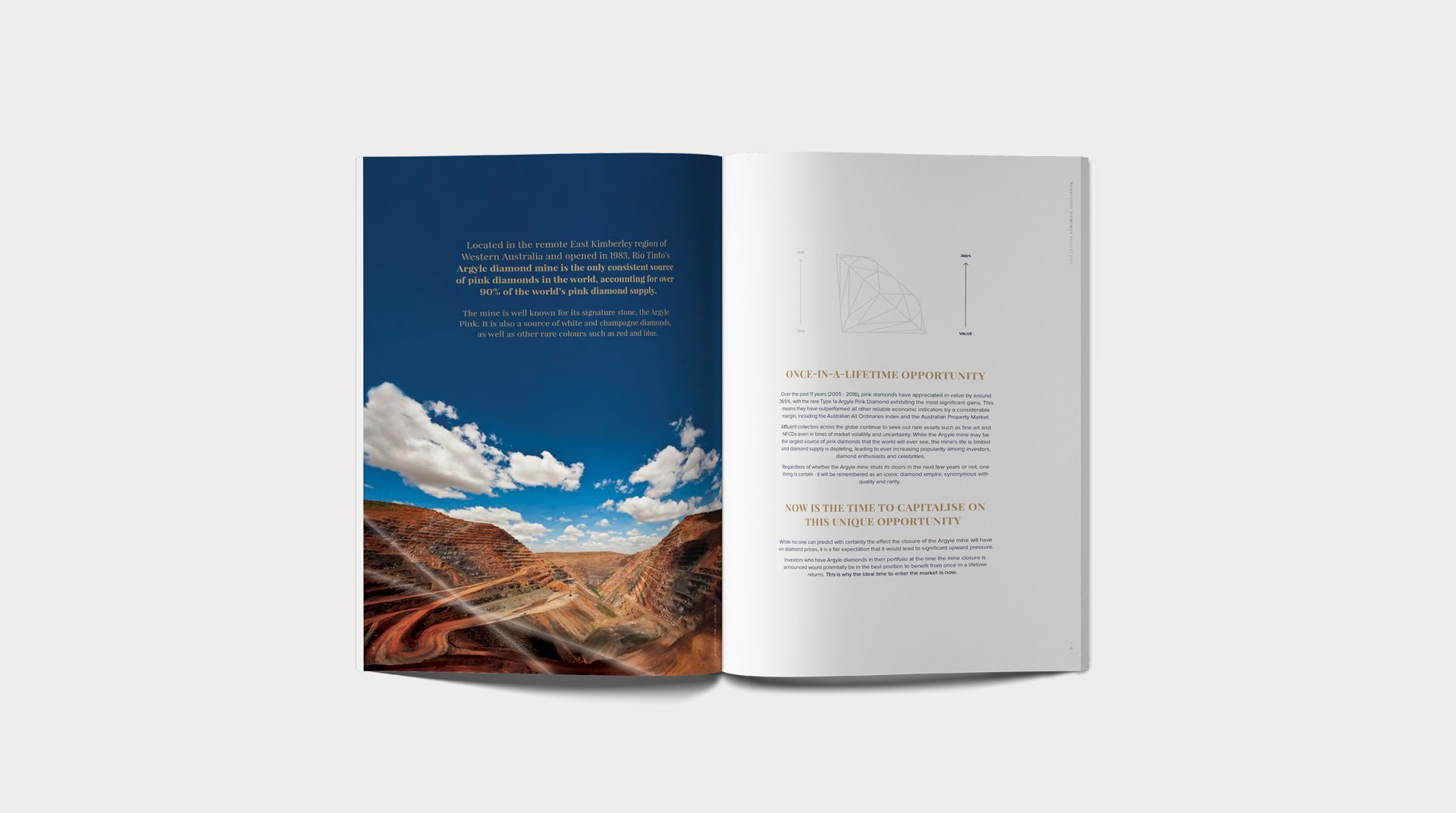 Investor Brochure