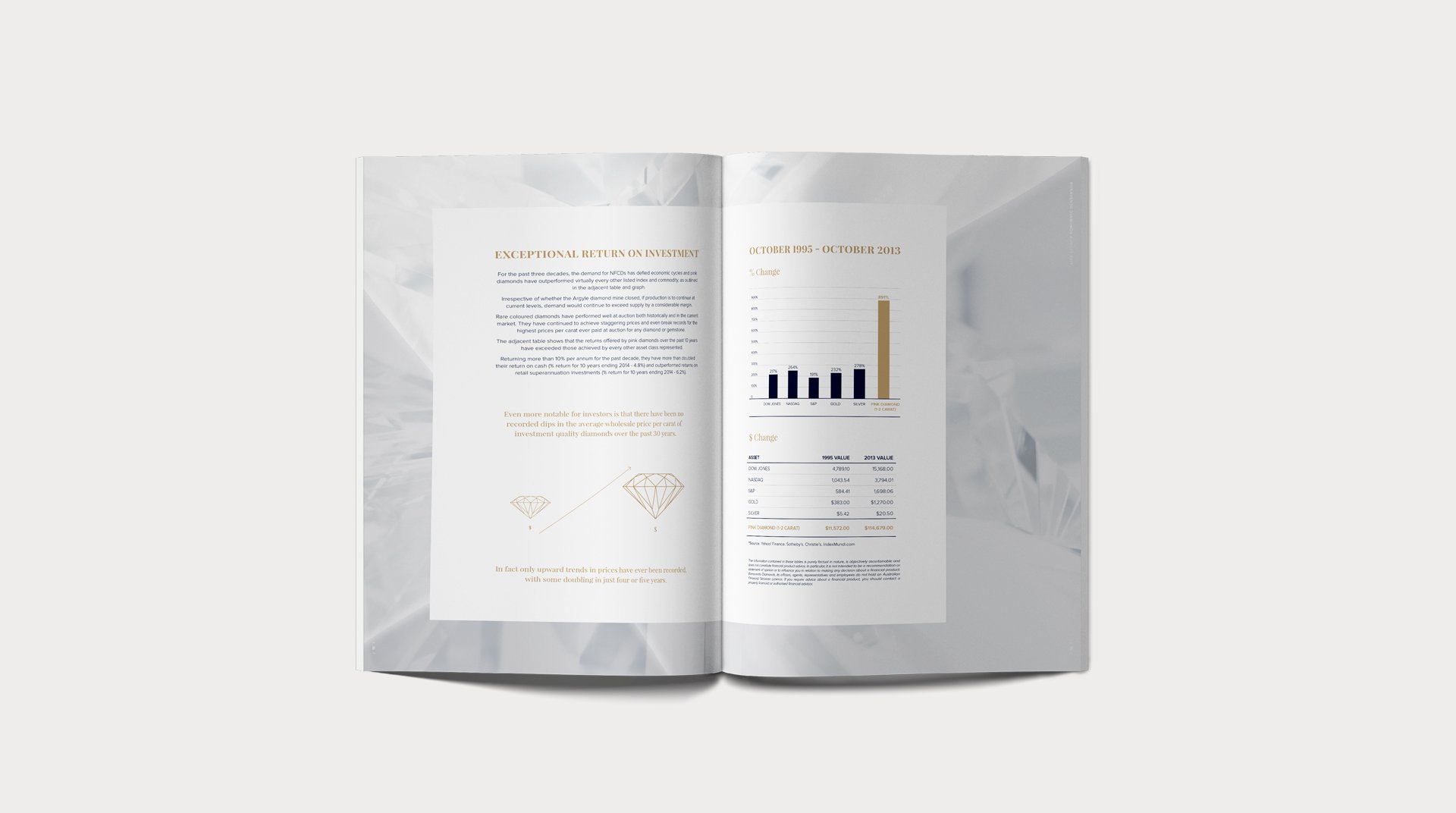 Investor Brochure