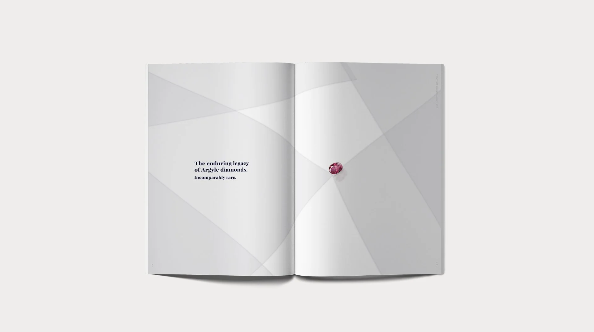 Investor Brochure