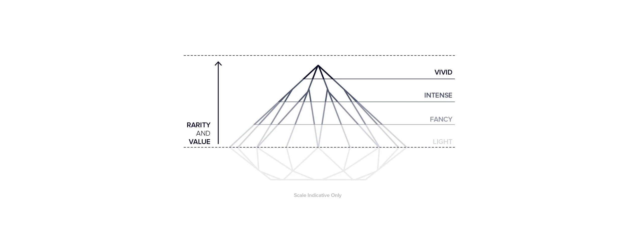 Investor Brochure