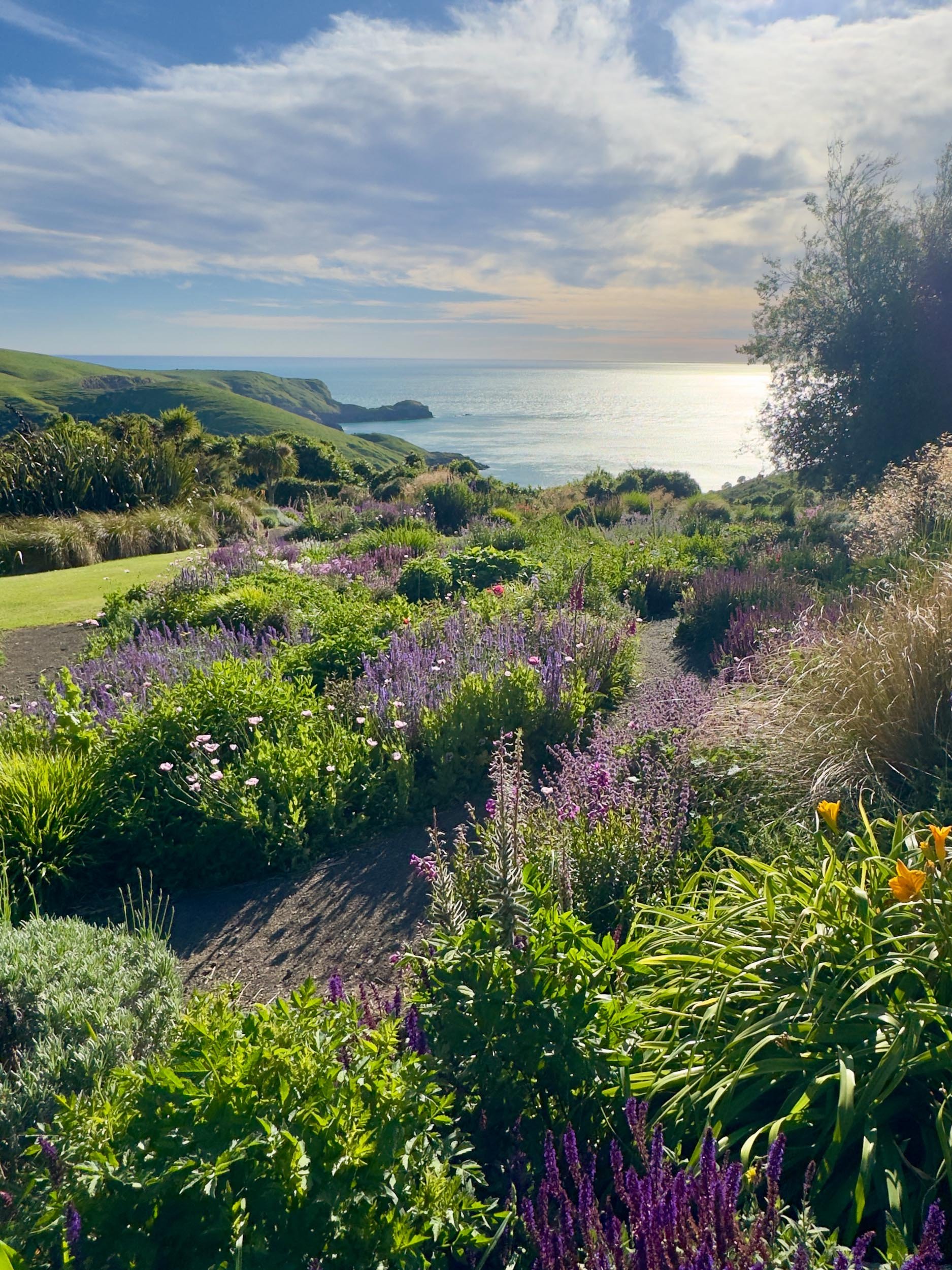 Fishermans Bay Garden