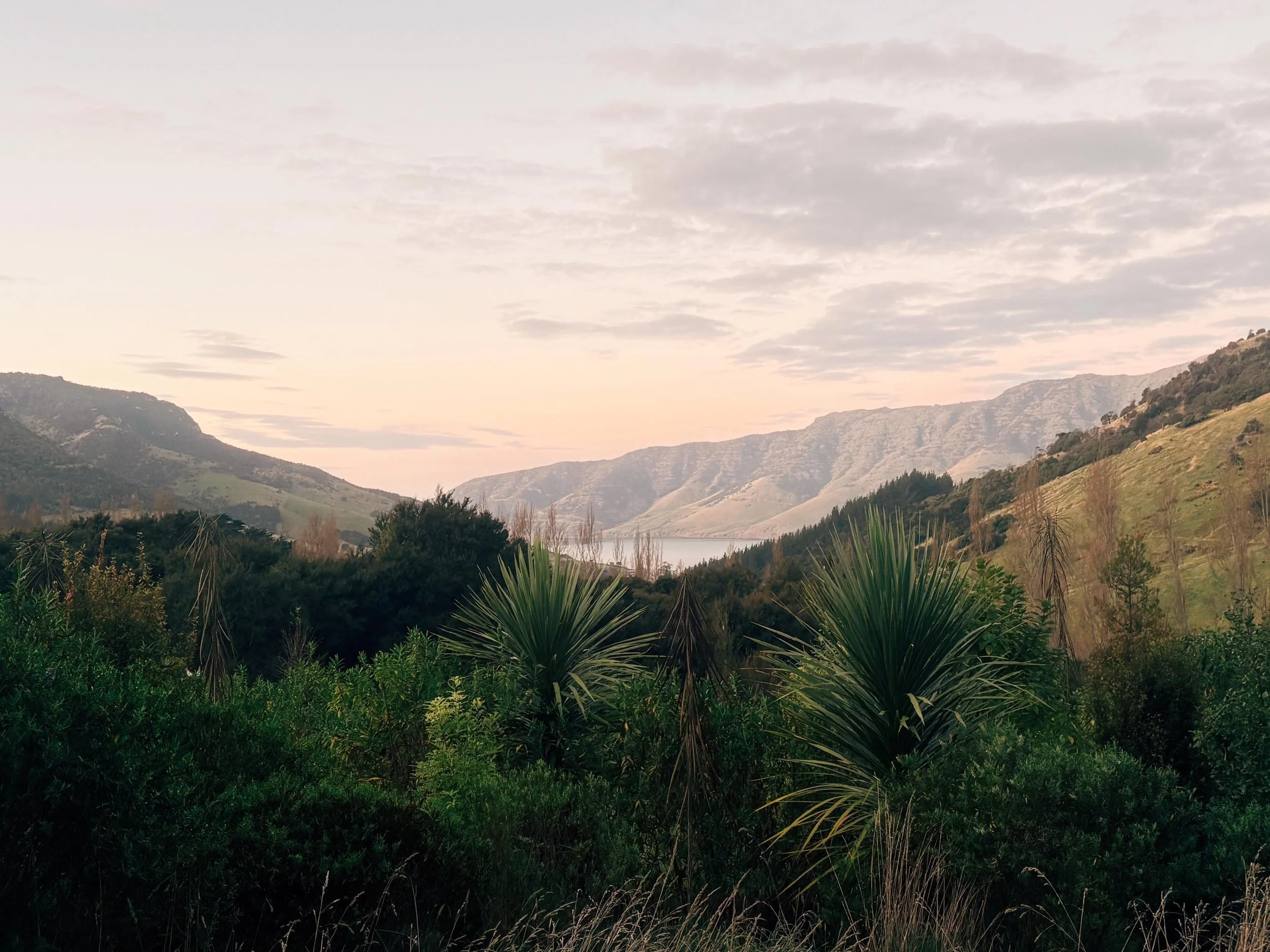 Bush Walk Paradise